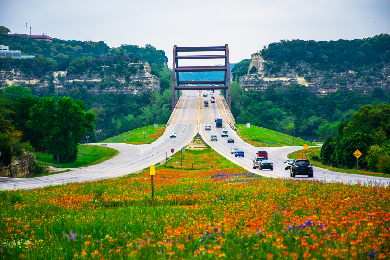 Capital of Texas Highway 360 Bridge Pennybacker Bridge Wild Flowers in early April right before some good rain was coming. SPring time in central texas is very colorful and this bridge is a local landmark.